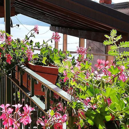 Campino Bed and Breakfast Stresa Buitenkant foto